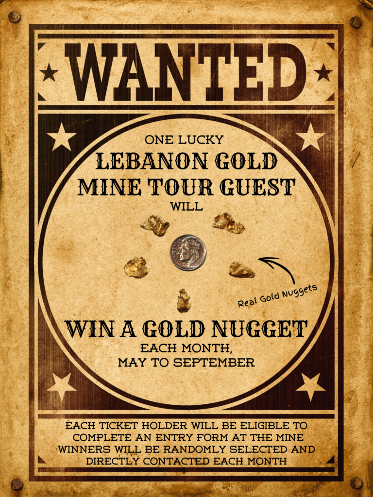 2025 GOLD NUGGET GIVEAWAY - Poster - Georgetown Loop Railroad