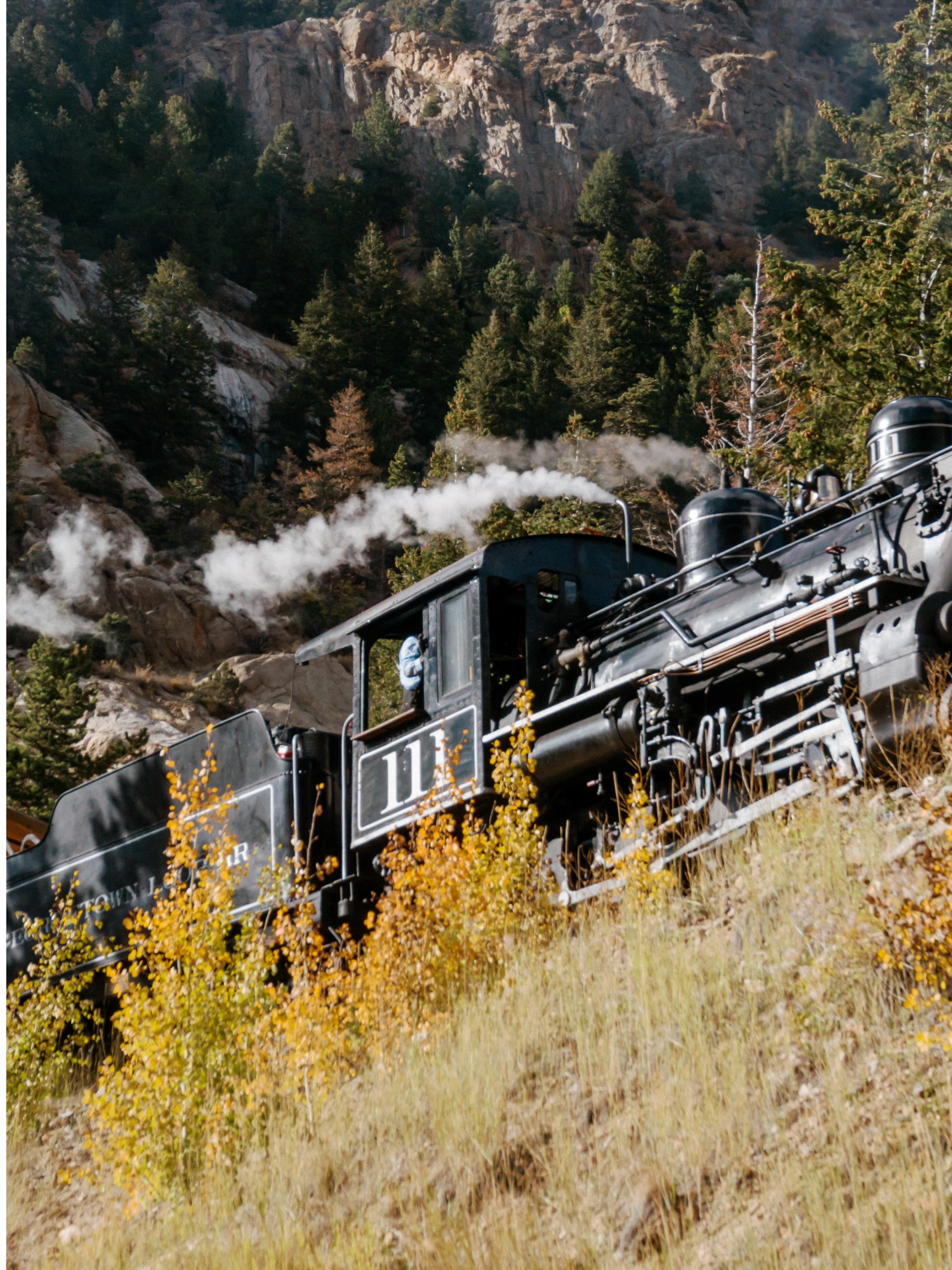 Steam Train with Fall Leaves in foreground