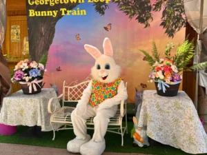Easter Bunny mascot seated on a white bench surrounded by colorful spring flower arrangements at