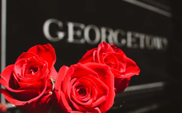 Bouquet of vibrant red roses in the foreground with Georgetown Loop Railroad locomotive lettering
