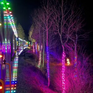 Lighted trees as a train passes them at night.
