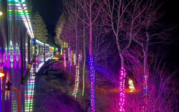 Lighted trees as a train passes them at night.