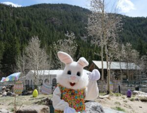 Easter Bunny mascot seated in front of the Devil's Gate Station at the Georgetown Loop Bunny Train