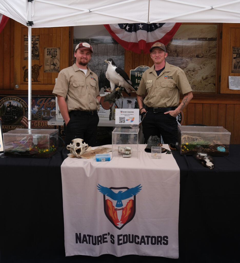 Two people standing behind a table, holding a hawk