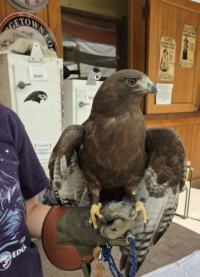 Screenshot 2026-01-28 at 123019 PM